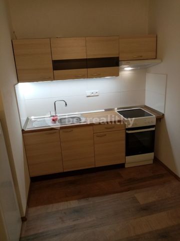 Pronájem bytu 1+1 • 30 m² bez realitkyNa náměstí, Davle - Davle, Středočeský kraj - Photo 3