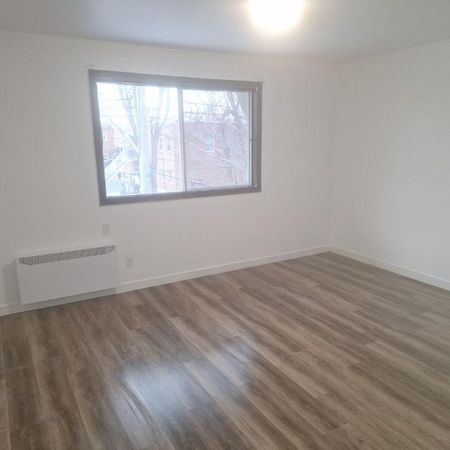 Grand 4 1/2 éclairé - Photo 3