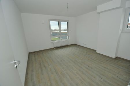 Am Ufer der Havel! eine komplette Ebene für sich alleine - Photo 2