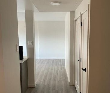 257 Lisgar Street, Centretown, Ottawa, ON - Photo 6