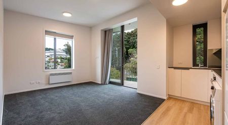 New Boutique Apartment Complex on Tasman Street - Photo 4