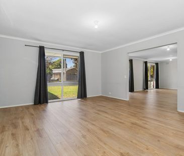 Spacious 4-Bedroom Home, with Sun-Soaked Rumpus Room - Photo 1