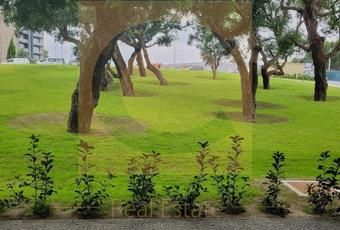 Apartamento T1 em Porto