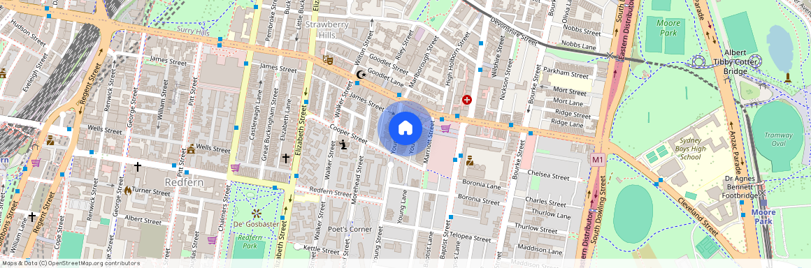 17 Young Street, NSW 2016, Redfern