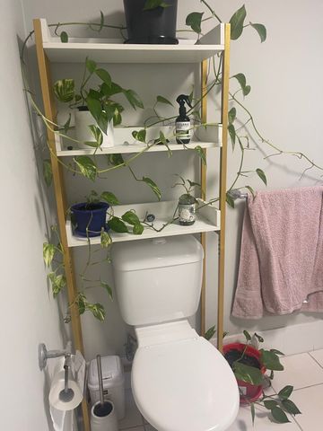 Surfers Paradise - Photo 2