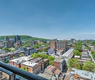 65 East Sherbrooke Street, Montréal, QC - Photo 6