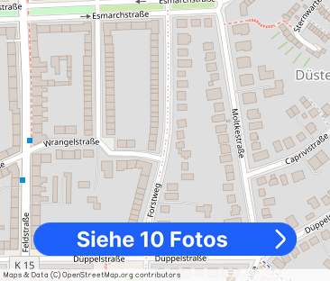 Sanierte 4-Zimmer-Wohnung im beliebten Forstweg - Foto 1