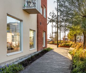 Tors gränd, Malmö - Foto 2