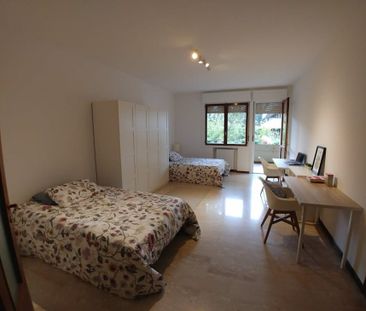 Via Luigi Pellizzo, Padova, Veneto 35128 - Photo 5