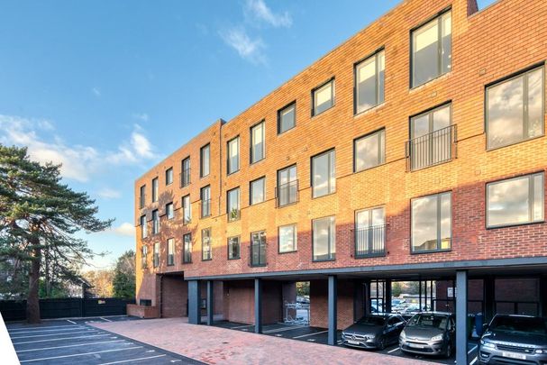 1 bedroom apartment to rent - Photo 1