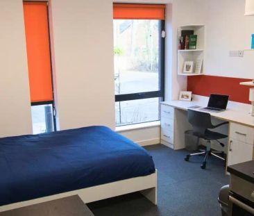 Silver Studio - Photo 4