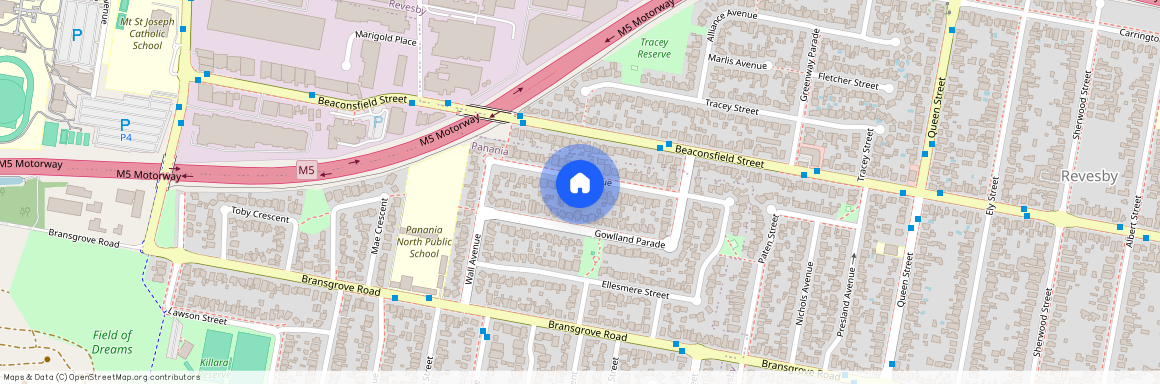 42 Wall Avenue, 2213, Panania Nsw