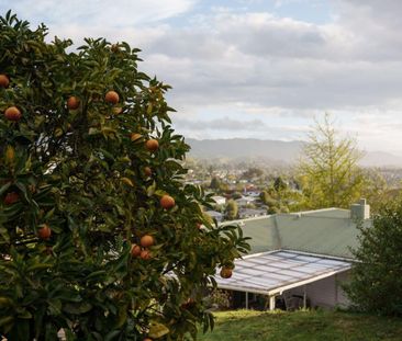 Sunny Elevated Home Near Tahunanui Beach – Privacy, Views and Chara... - Photo 2