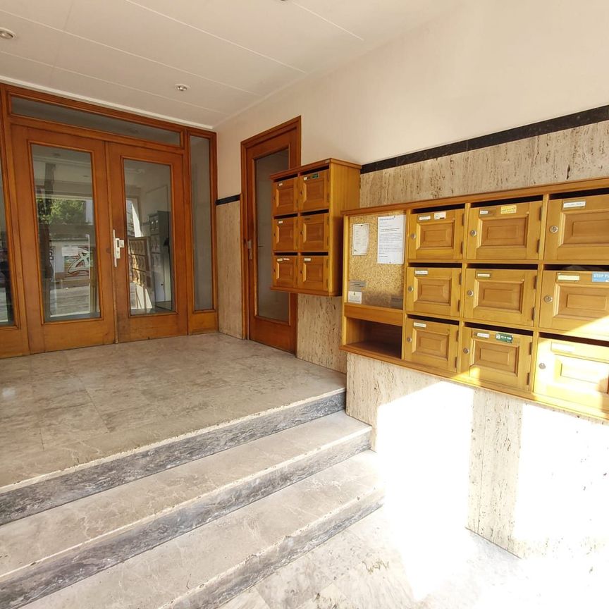 Location Appartement 1 pièce 25m² GRENOBLE 38100 - Photo 1