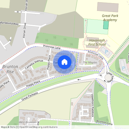 Dahlia Grove, Newcastle Upon Tyne, NE13