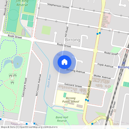 24 Birrong Ave, NSW 2143