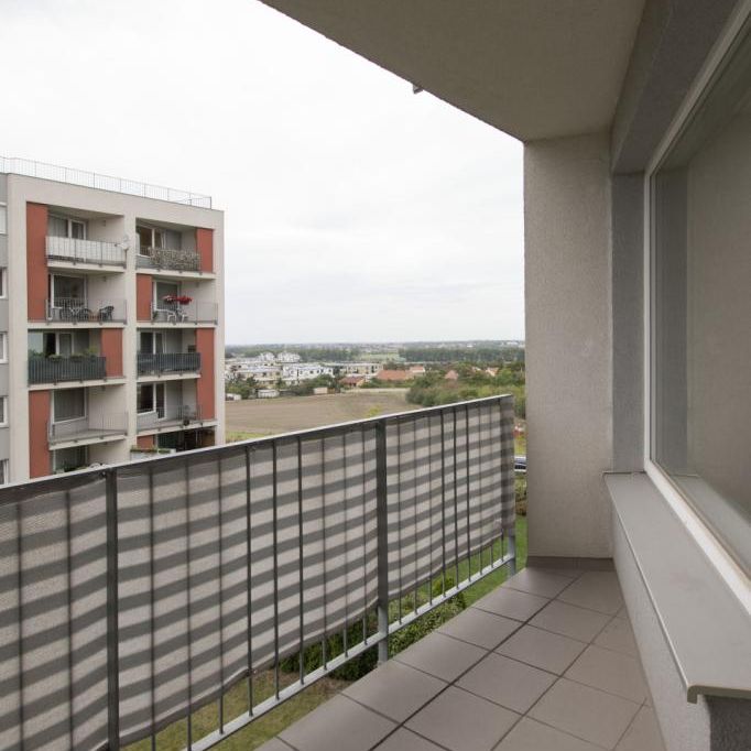 Pronájem bytu 1+kk 36 m2 - Fotografie 1