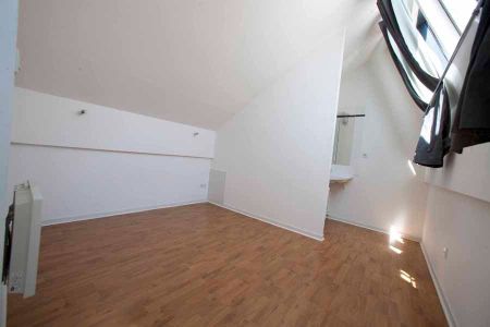 Loft Industriel en duplex - Photo 4