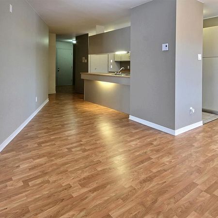 4 1/2 PAISIBLE, lumineux, rénové (LORETTEVILLE) - Photo 3