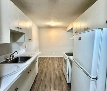 Bright and Updated 2 Bedroom Apartments - Photo 2