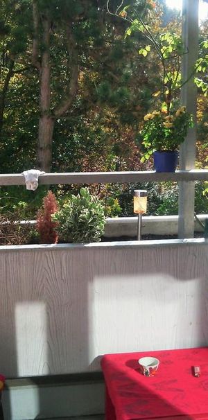 Große 64m² Wohnung mit Balkon Nebenhaus Irgenhöhe Saarbrücken - Photo 1