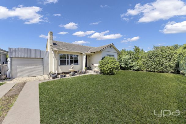 WALK TO EVERYTHING - Photo 1