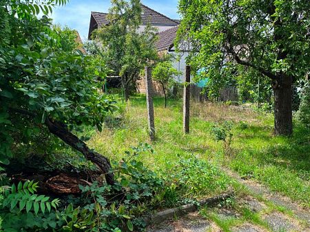 **VERMIETET** Charmantes Einfamilienhaus mit Wintergarten und großem Garten. - Foto 3