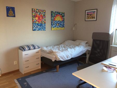 Mariehemsvägen, Umeå - Photo 4