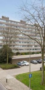 Zangvogelweg 0ong 3815 Amersfoort - Foto 3