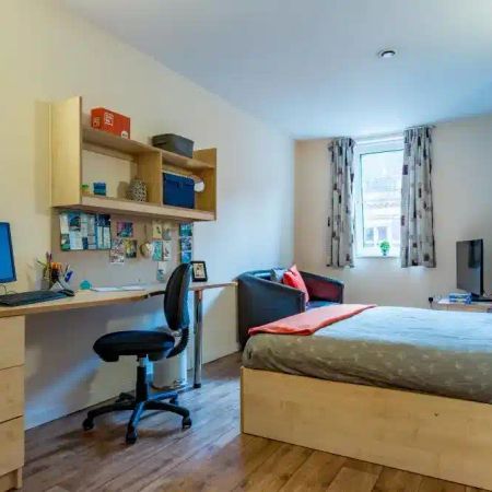 Single Studio - Photo 3