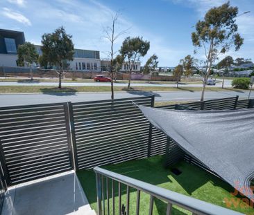 11/1 Sutherland Crescent, Taylor ACT 2913 - Townhouse For Rent | Do... - Photo 2