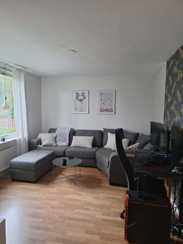 Brunnehagen, Göteborg - Foto 4