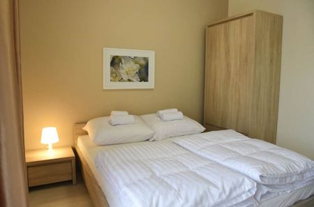 mieszkanie na wynajem Szczecin Śródmieście - Photo 4