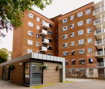 Bronze Room - Photo 2