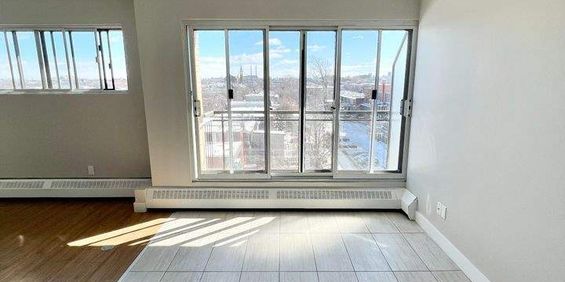 Studio - Montréal - $1,250 /mo - Photo 3