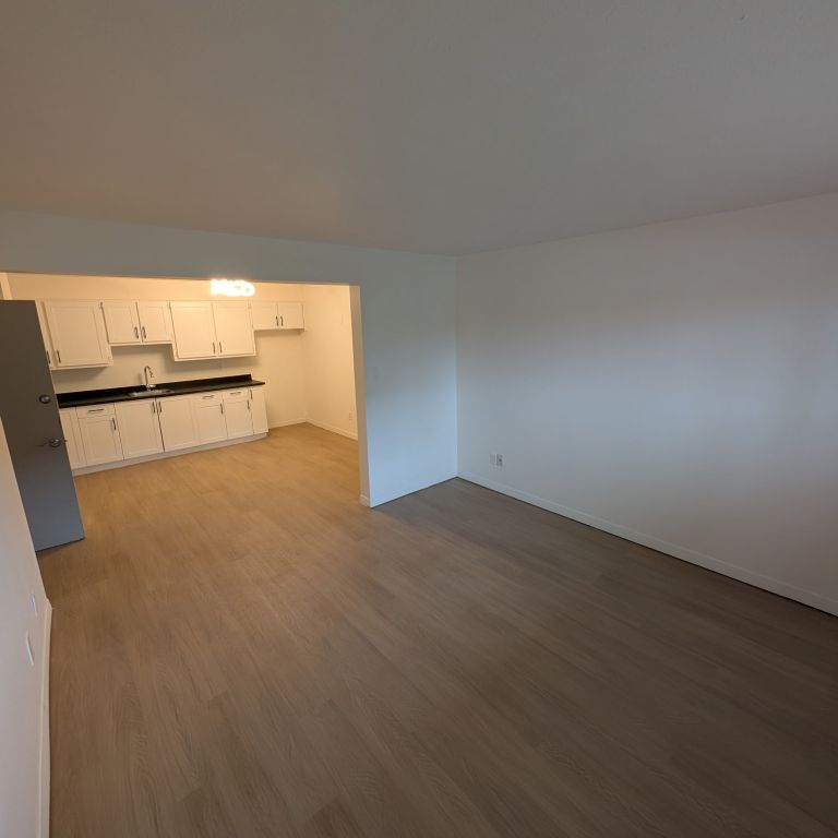 5 ½| 2 MOIS GRAUITS|ENTIÈREMENT RÉNOVÉ - Photo 1