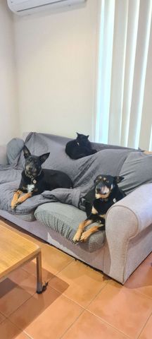 Altona Meadows - Photo 5