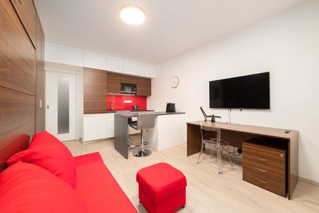 Pronájem bytu 1+kk 28 m² - Fotografie 2