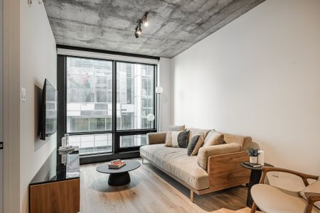 Condo à louer, Montréal (Ville-Marie) - Photo 4