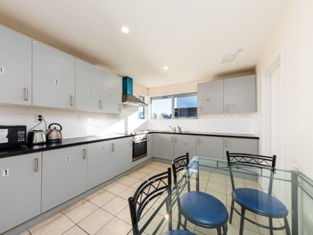 55a Wharenui Road, Upper Riccarton - Photo 5