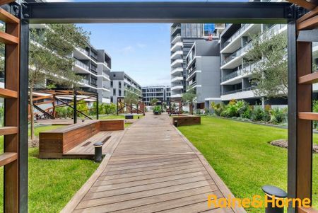 318/850 Bourke Street, Waterloo, NSW 2017 - Photo 5