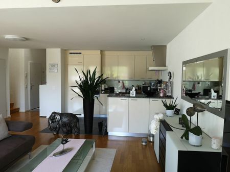 Nachmieter gesucht für schöne 3.5-Zi. Attika-Maisonette-Wohnung mit grosser Terrasse - Foto 2