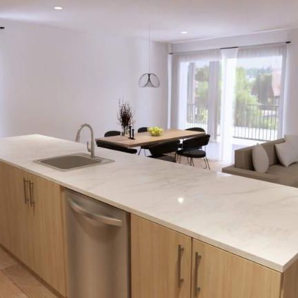 4 1/2 À LOUER - SAINT-ROCH-DE-L'ACHIGAN - APPARTEMENT À LOUER - Photo 4