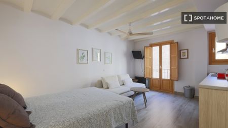 barcelona, Catalonia 08001 - Photo 4