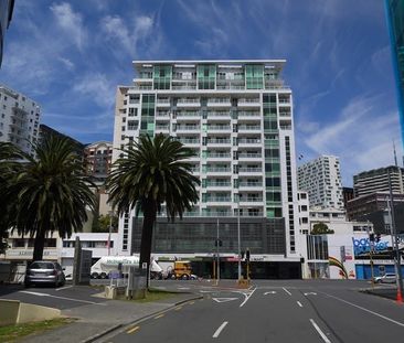 Large 50m2 apartment near Britomart - Photo 5