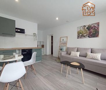 Bytom Mikołaja Reja - Zdjęcie 3