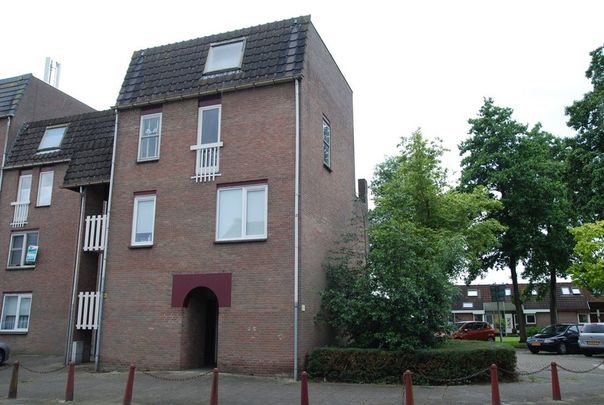 Goudmos 174 - Photo 1