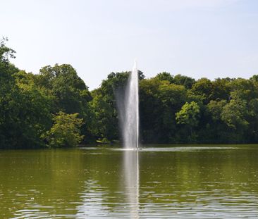 TOP Cityapartment in Köln-Lindenthal Nähe Stadtwaldgürtel - Video o... - Photo 4