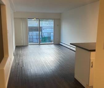 Spacious 1 Bed + Den in Vibrant East Van! - Photo 3