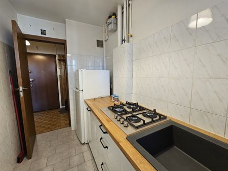 Słoneczne trzypokojowe z osobną kuchnią Powiśle - Zdjęcie 3